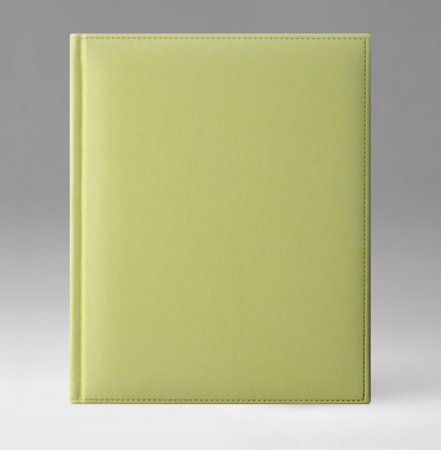 Ежедневник, недатированный, Перпетум К, белая, золотой срез, 21х29 см, фиксированный, Небраска, светло-зеленый