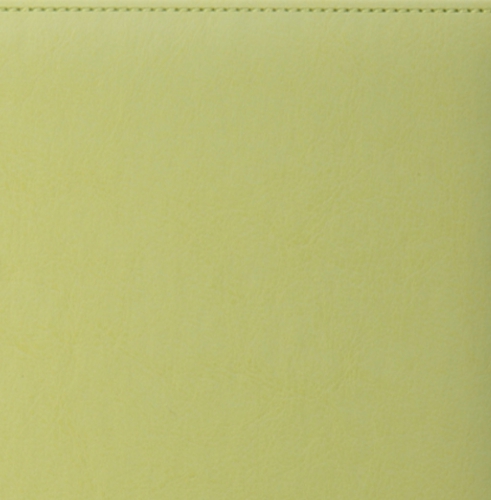 Ежедневник, датированный, Классик, белая, золотой срез, 15х21 см, премиум эластик, Небраска, светло-зеленый