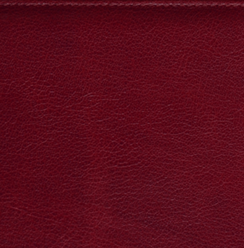 Ежедневник, датированный, Классик, белая, золотой срез, 15х21 см, фиксированный, Буфало, бордовый