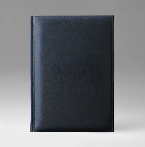 Ежедневник, датированный, Классик, белая, золотой срез, 17х24 см, фиксированный, Небраска, синий