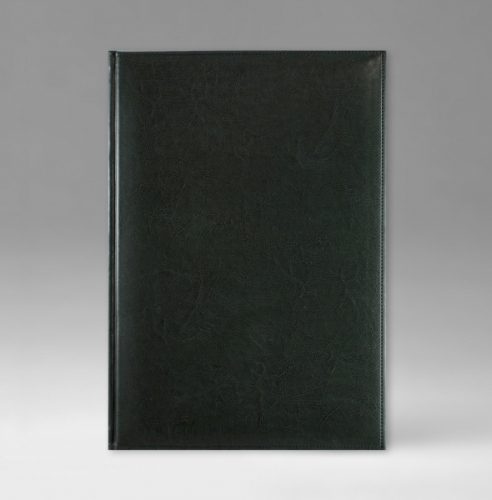 Ежедневник, датированный, Классик, белая, золотой срез, 17х24 см, фиксированный, Небраска, зеленый