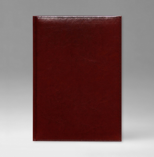 Ежедневник, датированный, Классик, белая, золотой срез, 17х24 см, фиксированный, Небраска, английский красный