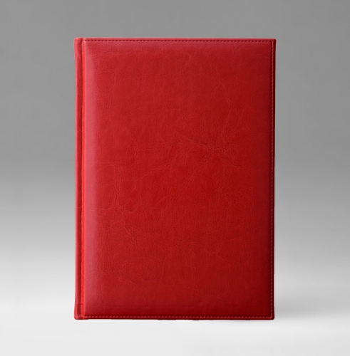 Ежедневник, датированный, Классик, белая, золотой срез, 17х24 см, фиксированный, Небраска, красный