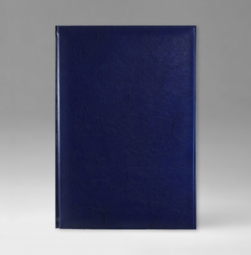 Ежедневник, датированный, Классик, белая, золотой срез, 17х24 см, фиксированный, Небраска, голубой