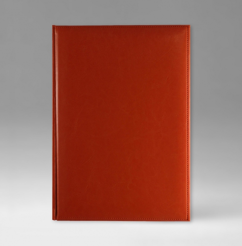 Ежедневник, датированный, Классик, белая, золотой срез, 17х24 см, фиксированный, Небраска, оранжевый