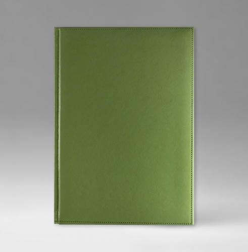 Ежедневник, датированный, Классик, белая, золотой срез, 17х24 см, фиксированный, Небраска, светло-зеленый