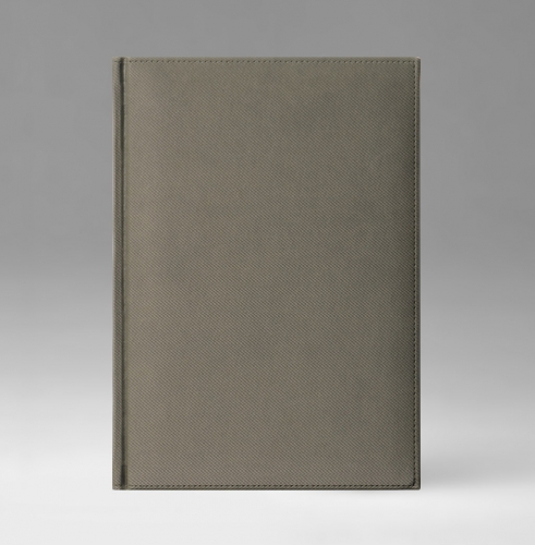 Ежедневник, датированный, Классик, белая, золотой срез, 17х24 см, фиксированный, Текс, серый