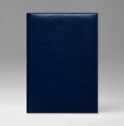 Ежедневник, датированный, Уникум, белая, золотой срез, 15х21 см, фиксированный, Небраска, голубой