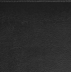 Телефонная книга, с РУС. регистром, Рубрика, джалла, золотой срез, 8х15 см, фиксированный, Буфало, черный