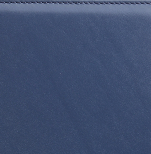 Телефонная книга, с РУС. регистром, Рубрика, белая, золотой срез, 8х15 см, портфолио, Софти, синий