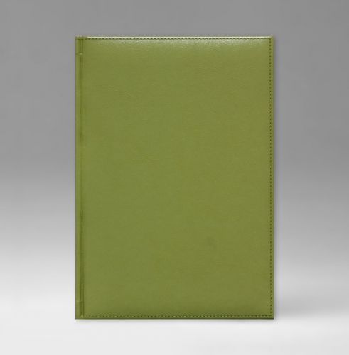 Ежедневник, датированный, Евро, белая, золотой срез, 15х21 см, фиксированный, Небраска, светло-зеленый