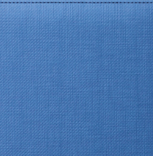 Телефонная книга, с РУС./LAT. регистром, Рубрика, белая, золотой срез, 8х15 см, фиксированный, Мехико, голубой