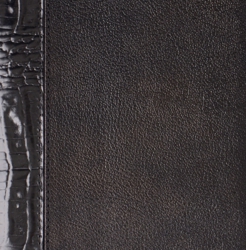 Телефонная книга, с РУС./LAT. регистром, Рубрика, белая, золотой срез, 8х15 см, фиксированный, Буфало Нью Кроко, черный