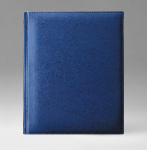 Ежедневник, датированный, Классик, белая, золотой срез, 21х29 см, фиксированный, Небраска, голубой