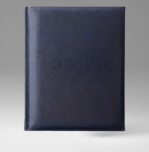 Ежедневник, датированный, Классик, джалла, золотой срез, 21х29 см, фиксированный, Небраска, синий