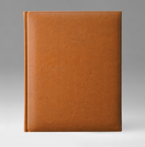 Ежедневник, датированный, Классик, джалла, золотой срез, 21х29 см, фиксированный, Небраска, светло-коричневый