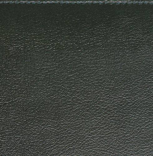 Ежедневник, датированный, Классик, белая, серебряный срез, 15х21 см, фиксированный, Буфало, зеленый
