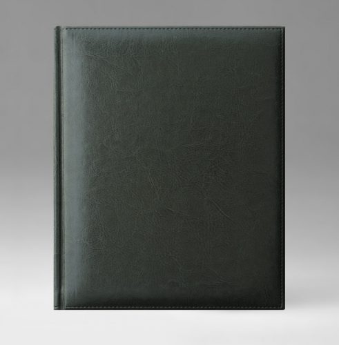 Ежедневник, датированный, Классик, белая, серебряный срез, 21х29 см, фиксированный, Небраска, зеленый