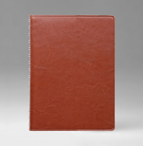Ежедневник, датированный, Планшет, белая, 15х21 см, вайред, Небраска, английский красный