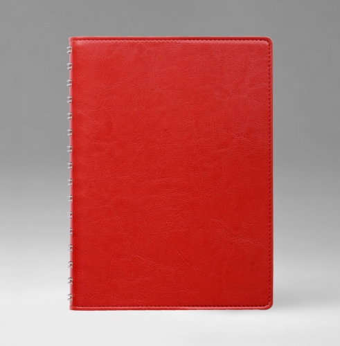 Ежедневник, датированный, Планшет, белая, 15х21 см, вайред, Небраска, красный