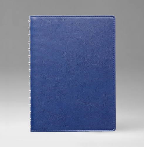 Ежедневник, датированный, Планшет, белая, 15х21 см, вайред, Небраска, голубой