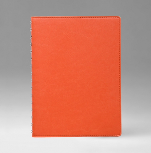 Ежедневник, датированный, Планшет, белая, 15х21 см, вайред, Небраска, оранжевый