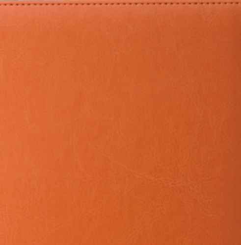 Ежедневник, недатированный, Планшет, белая, 15х21 см, на пружине, Небраска, оранжевый