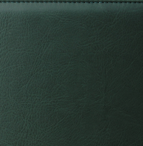 Ежедневник, недатированный, Планшет, белая, 15х21 см, на пружине, Богота, зеленый