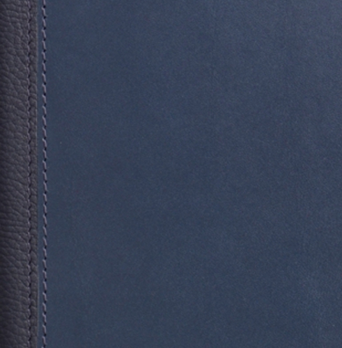 Планнинг, датированный, Классик, джалла, золотой срез, 15х38 см, портфолио, Рустик Флотур, синий