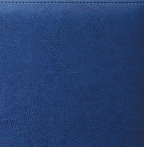 Ежедневник, датированный, Классик, джалла, 15х21 см, портфолио люкс, Небраска, голубой