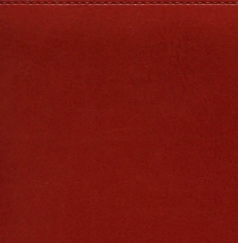 Ежедневник, датированный, Классик, белая, 15х21 см, портфолио люкс, Имидж, красный