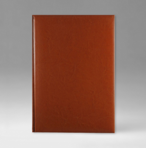 Ежедневник, датированный, Классик, белая, 17х24 см, фиксированный, Небраска, светло-коричневый