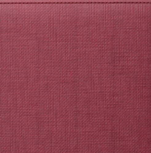 Телефонная книга, с РУС. регистром, Рубрика, джалла, 8х15 см, фиксированный, Мехико, коралл