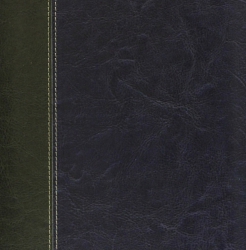 Визитница настольная (402) , Бинебраска, сине-зеленый