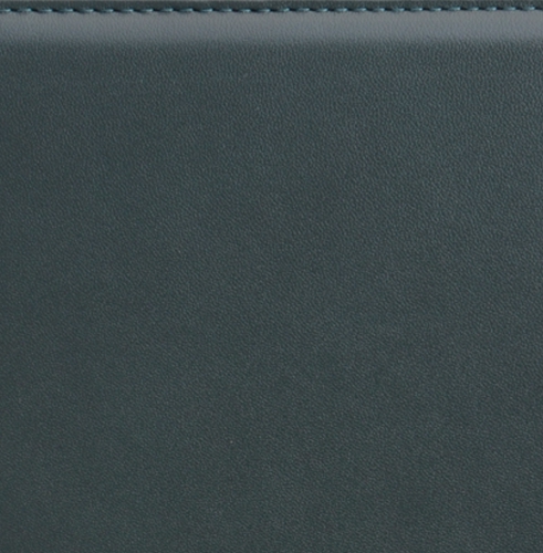 Органайзер, датированный, Классик, белая, 9х17 см, портфолио с застежкой, Рустик, зеленый
