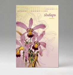 Настенный календарь Цветы, бумага мелованная, 2017 Цветы, желтый
